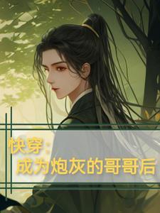 快穿成为炮灰的哥哥后百度资源