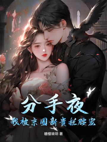 分手夜,我被京圈新贵拦腰宠!